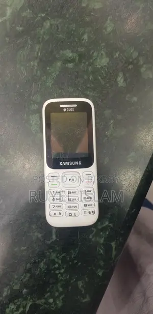 Samsung Guru Music 2 (Used)