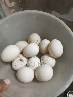 চিনা হাঁসের ডিম।