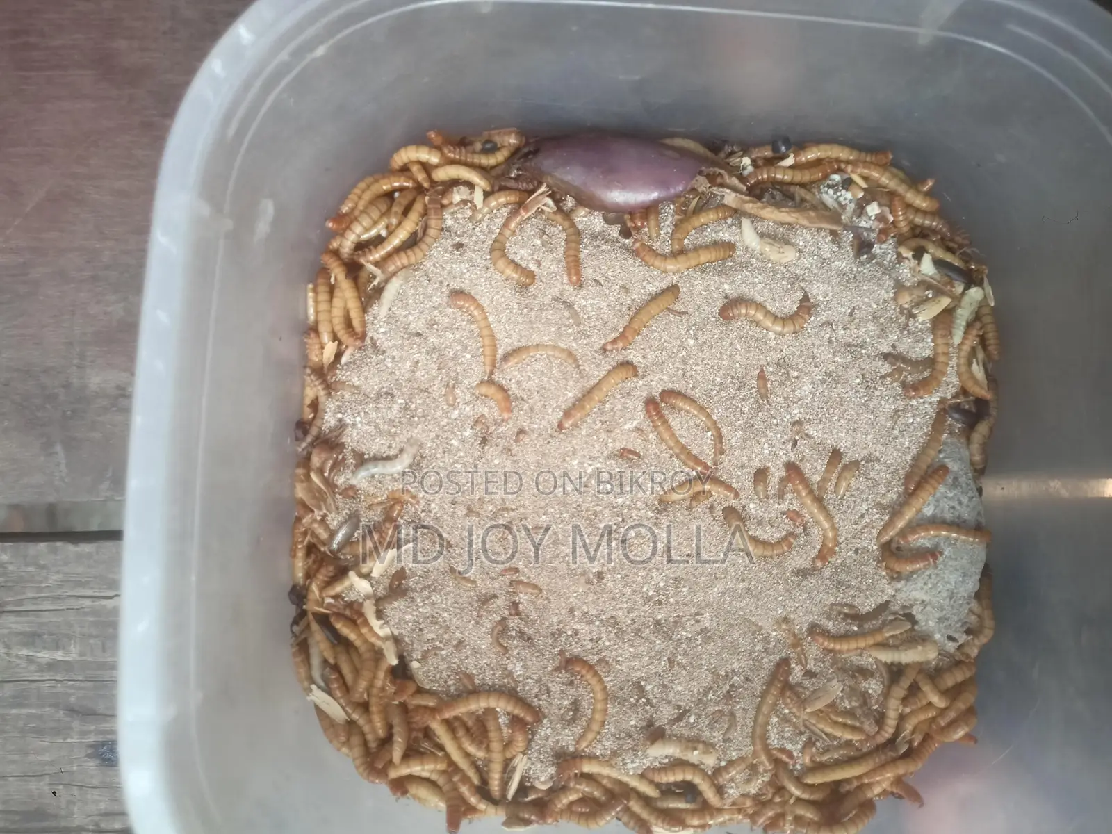মেল ওয়াম