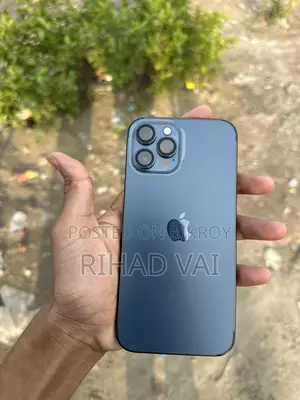 Apple iPhone 12 Pro Max 256 (ব্যবহৃত)