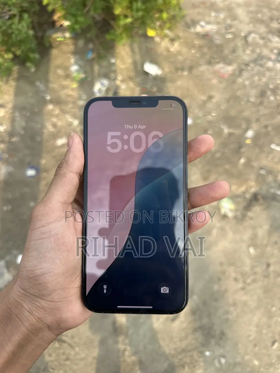 Apple iPhone 12 Pro Max 256 (ব্যবহৃত)