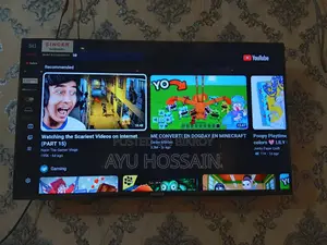43" Singer TV