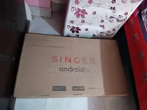 43" Singer TV