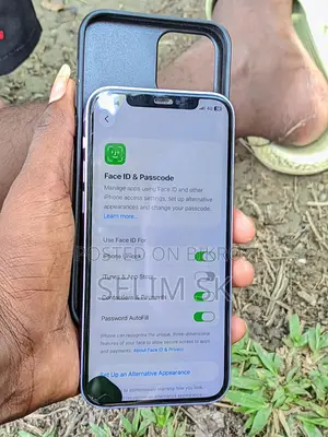 Apple iPhone 12 (Used)