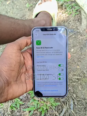 Apple iPhone 12 (Used)