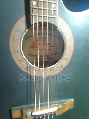 Guitar