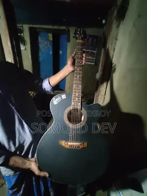 Guitar