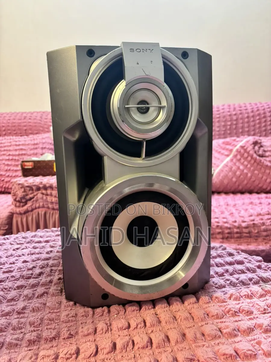 Sony ZX70 DVD Player Speakers Only