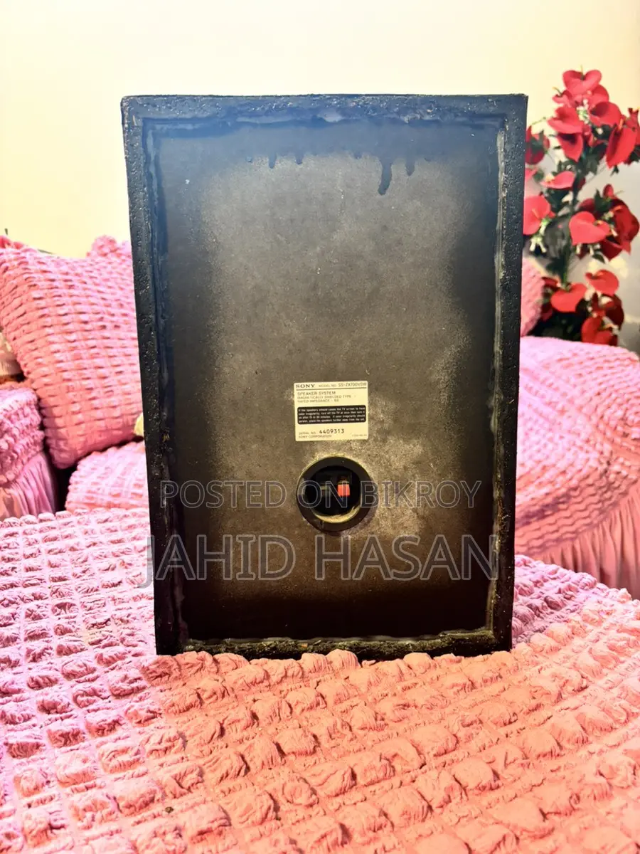 Sony ZX70 DVD Player Speakers Only