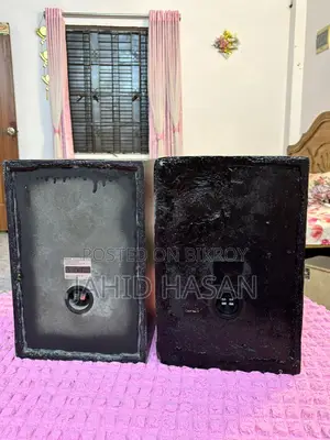 Sony ZX70 DVD Player Speakers Only