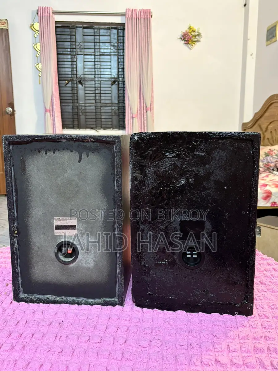 Sony ZX70 DVD Player Speakers Only