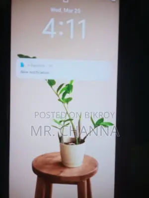 Vivo Y17, (Used)