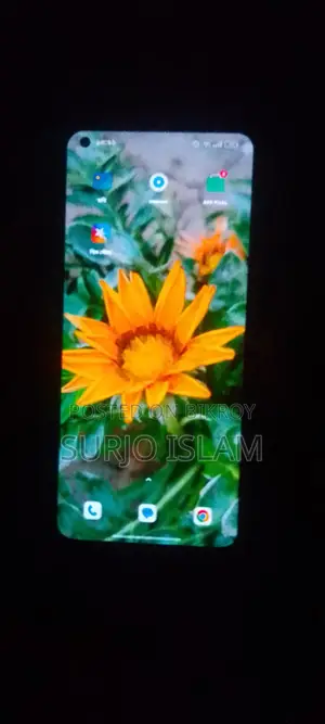 Realme 9 (Used)
