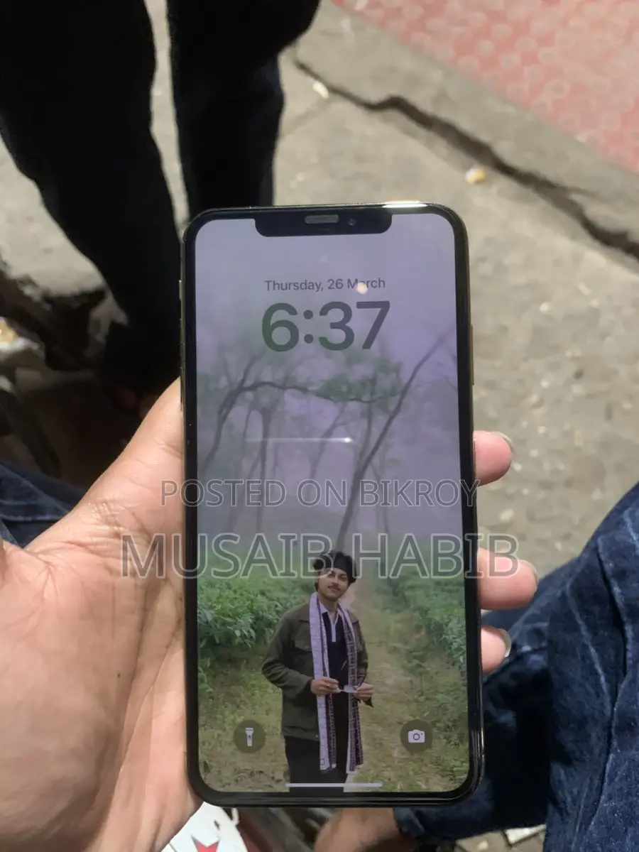 Apple iPhone XS Max 256GB (Used)
