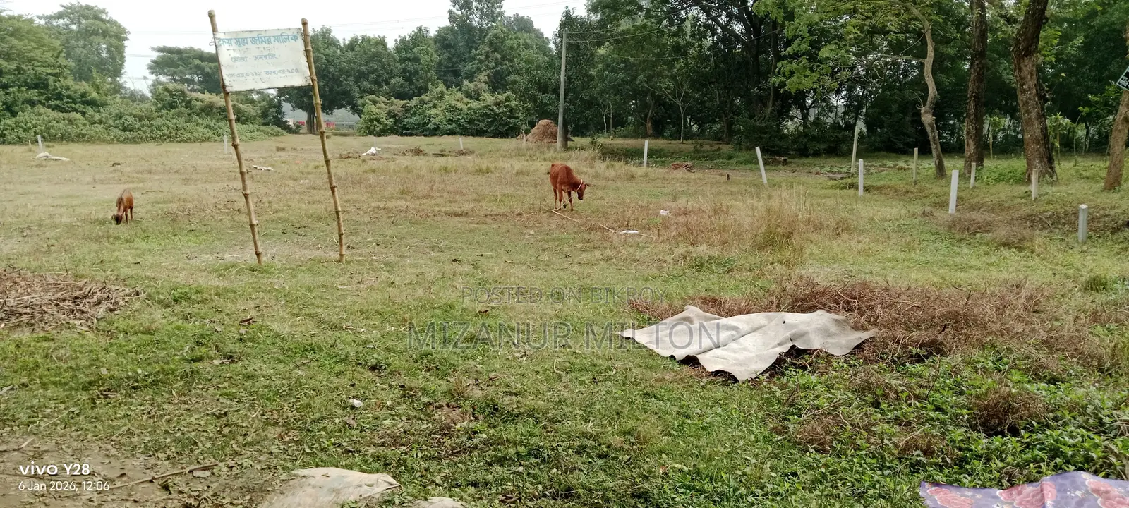 20 Katha Land - Near 4-Lane Purbachal, Dhaka.
