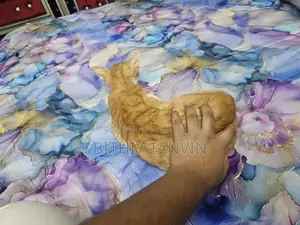 White Cat Black Brown Persian Badabi