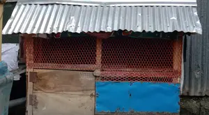 মুরগী খোপ