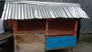 মুরগী খোপ
