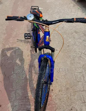 Bicycle for Sale at a Low Price