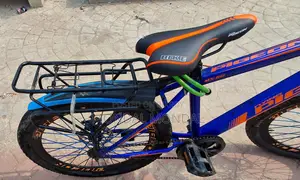 Bicycle for Sale at a Low Price