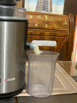 Electric Juicer