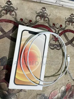 Apple iPhone 12 (Used)
