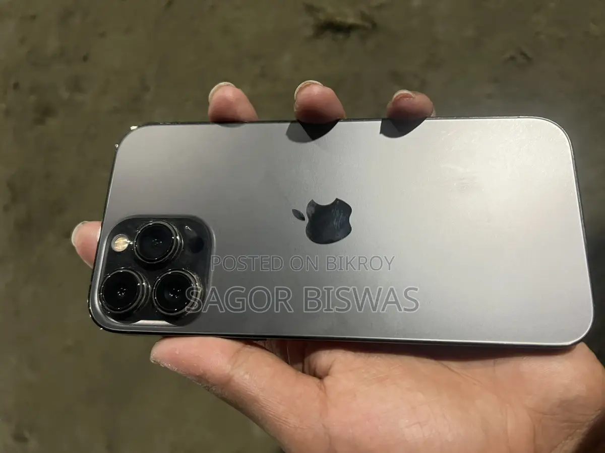 Apple iPhone 13 Pro Max (Used)