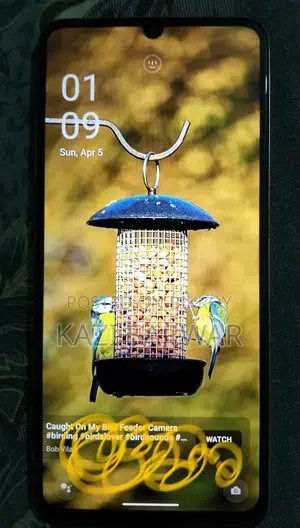 Realme C53 . (Used)