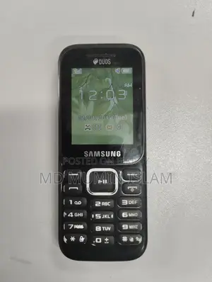 Samsung Guru Music 2 (Used)