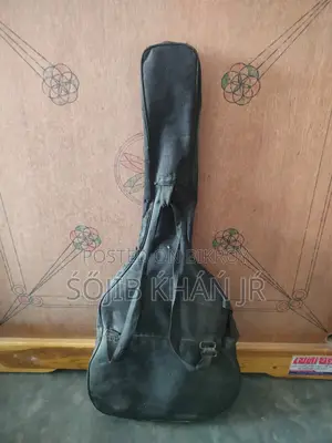Zealux Guitar sale