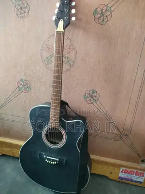 Zealux Guitar sale