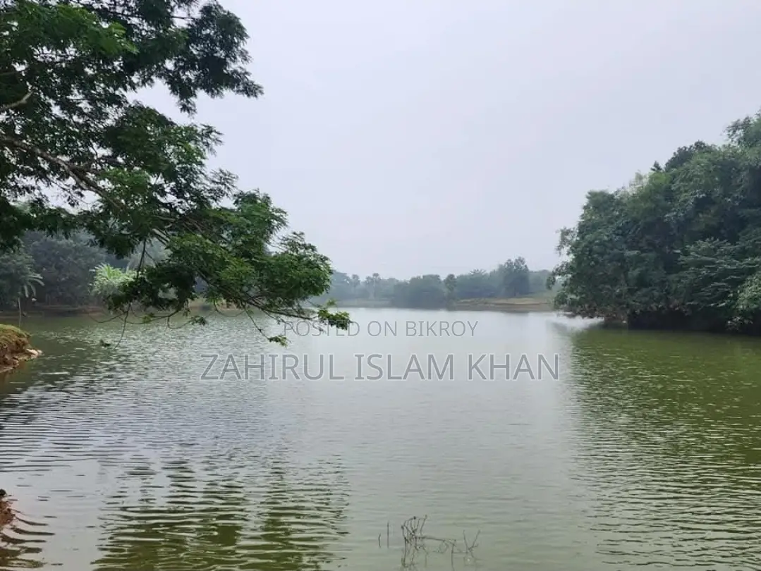 6 Katha (48 decimals) Clear Title Land with Fish Pond