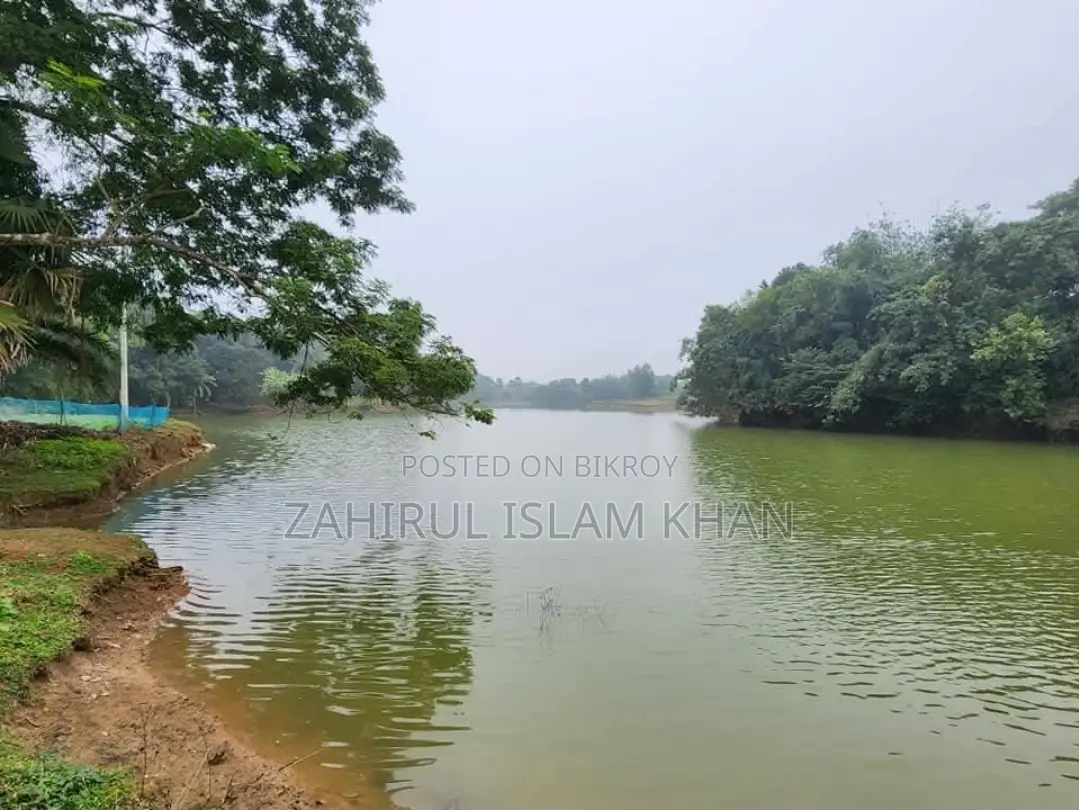 6 Katha (48 decimals) Clear Title Land with Fish Pond