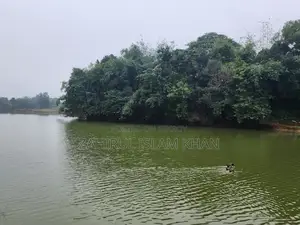 6 Katha (48 decimals) Clear Title Land with Fish Pond