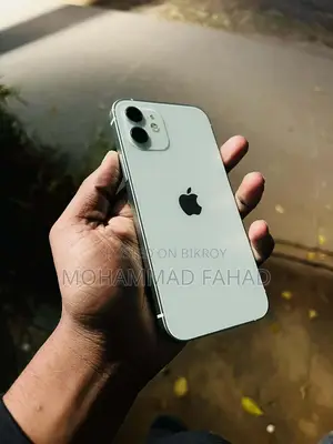 Apple iPhone 12 (Used)