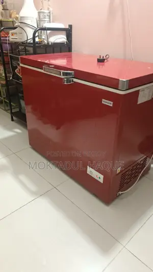 Singer Deep Freezer 205L