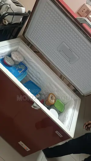 Singer Deep Freezer 205L
