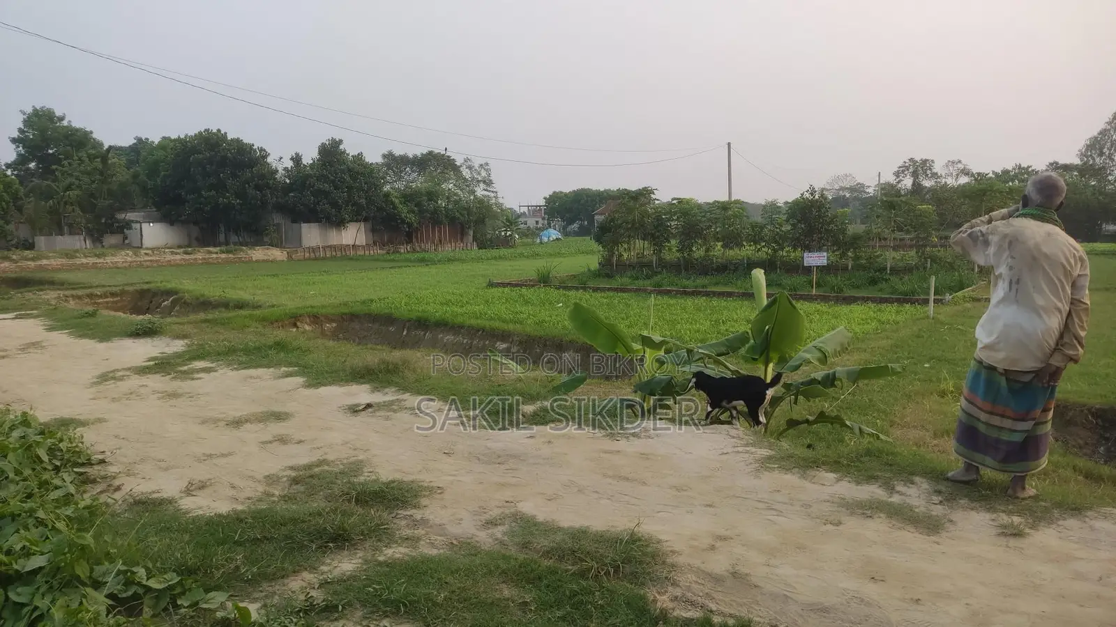 Land for Sale