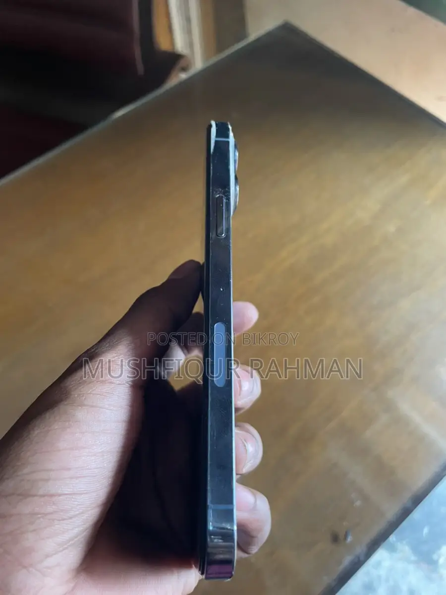 Apple iPhone 13 Pro Max display changed (Used)