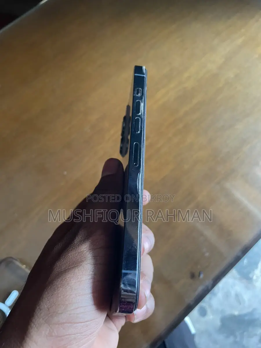 Apple iPhone 13 Pro Max display changed (Used)