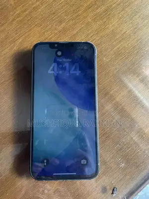 Apple iPhone 13 Pro Max display changed (Used)
