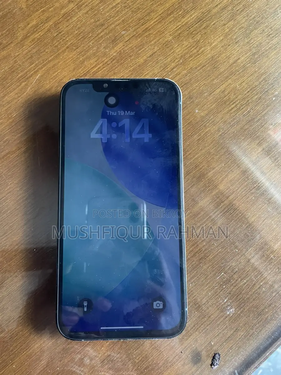 Apple iPhone 13 Pro Max display changed (Used)