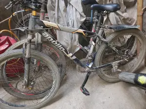 Appollo Cycle