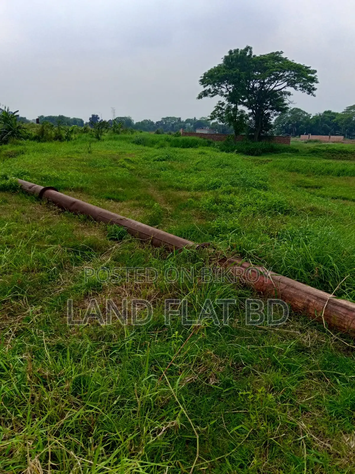উত্তর ও দক্ষিণ মুখি @ বাড়ি করার উপযোগী রেডি প্লট বিক্রি ১৬.৩৭ কাঠা