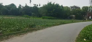 Land Rent