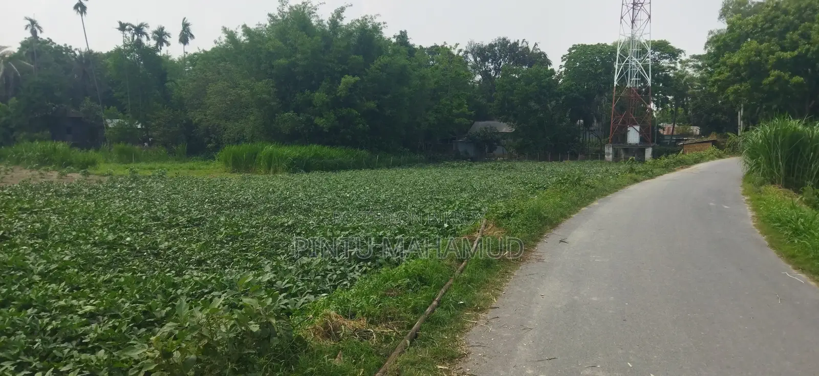 Land Rent