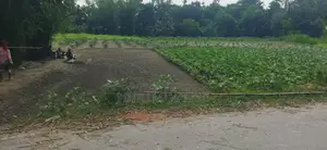 Land Rent