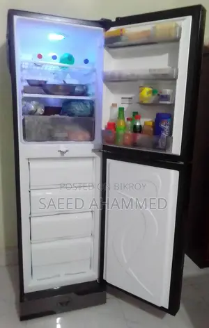 Walton Freezer