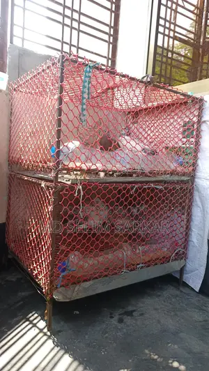 পাখির খাঁচা বা কবুতরের