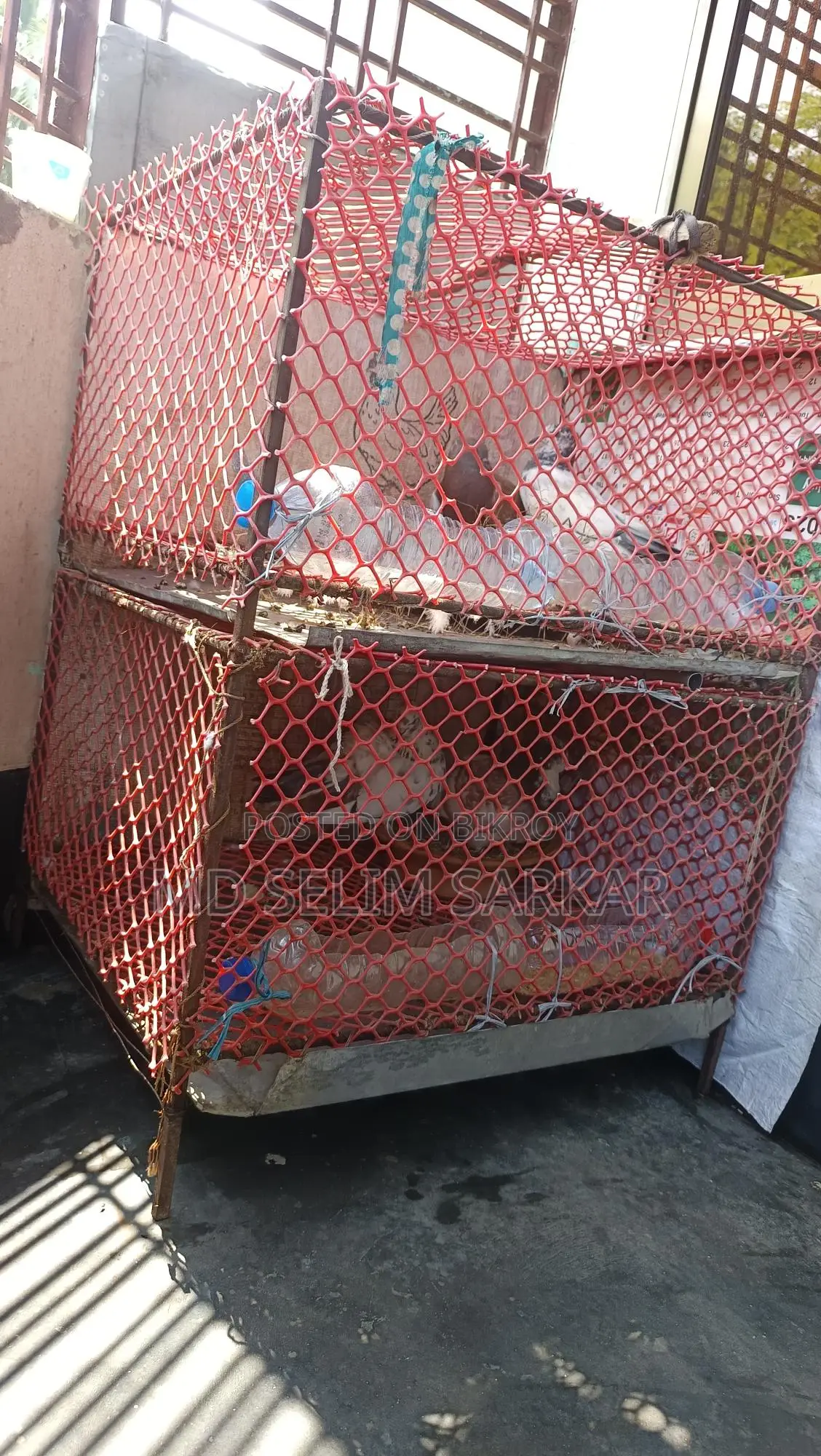 পাখির খাঁচা বা কবুতরের